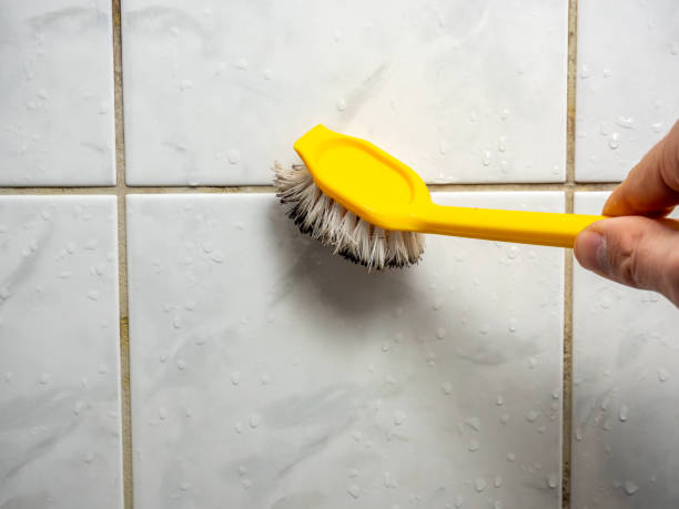 Best Professional Mold Removal  in Marysville, MI