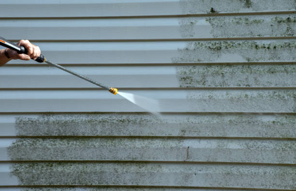 Best Mold Remediation  in Marysville, MI
