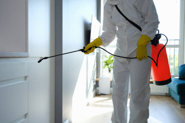 Best Attic Mold Removal  in Marysville, MI